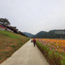 단양보건소 건너편 이미지