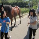 속사초등학교 이미지