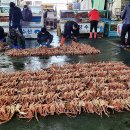 구룡포대게 이미지