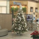 횡성군청 민원실 이미지