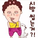 알쏭달쏭해 티스토리