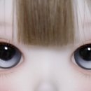 샛별플라워 이미지