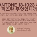 아이디헤어 김포장기점 이미지