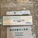 [임신준비][인공수정2차] 마리아플러스 자연주기 인공수정 시술후기