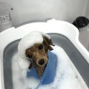 올치유치원 이미지