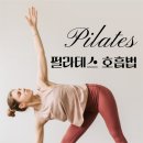 에이투피필라테스 네이버블로그