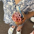 녹스 카페(NOXX CAFE) | 나트랑 여행③ 하바나 호텔 숙박과 나트랑 시내, 판랑 투어