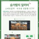 아이오티 이미지