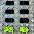 아파트, 아파트 / 장수경의 &#39;이야기가 있는 사진&#39; 이미지