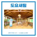 법인조금느려도괜찮아치유농장 | [공익기자단 2기-너나울뉴스레터] 농업의 새로운 가치 창출 "치유농업"