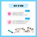 로지동물의료센터 이미지