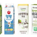 앙팡목장 이미지