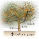 신성2호 이미지