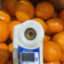 형제청과 이미지