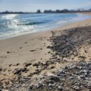 문암목장 이미지