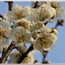 여주-0328 이미지