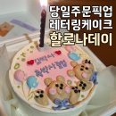 목동 레터링케이크 &lt;할로나데이&gt; 내돈내산 당일주문 픽업 후기