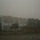 면천초교 이미지