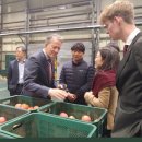 예산농산물유통센터 이미지