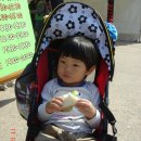 수릉원(북) 이미지