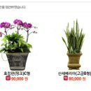 임마누엘유통