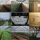 철용농장 이미지