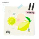 라임해피트리1차 | B4.임신기록 11~12주차 : 부산 마마콜 이용 후기, 1차 기형아검사, 해피버스 니프티검사