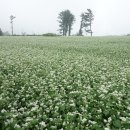 성가정요양원 이미지