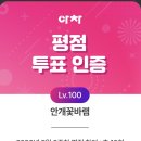 아이돌차트 평점주비 이미지