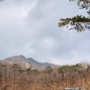 예미초등학교운치분교장 이미지