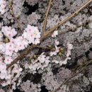 정다운노래방 | 들어오는 이에게 평화가