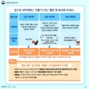[프랭클린 주방세제] 안심 비건 주방세제 실사용 추천 후기