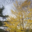 추암골산장 이미지