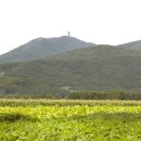 이강실업