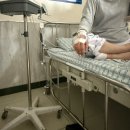 색체테라피와 타로의 만남 | 🐾🐾