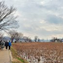 양수리 두물머리길 이미지