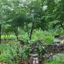 산골초가 이미지