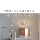 와이즈우드컨설팅 | '팬톤페인트'와 '루미르'의 만남 ; 컬러와 빛의 조화 '커브램프' 체험기
