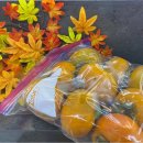 인필농장 이미지