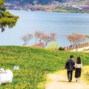 뿌리목장