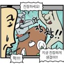수바코