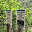 돌산새댁