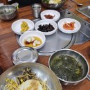아라여행사 - 달서구 상원로 22-20 | **아라여행사 울릉도&독도 여행 패키지 찐 후기**