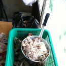 꿀꿀이 돼지국밥 이미지