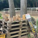 돌목장 | 제주 서귀포 목장카페 대한목장 귀여운 포니 돌아기랑