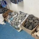 젊은열대어 이미지