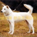 국희 이미지