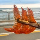 조개상회본점 이미지