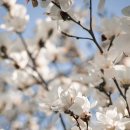 엄마손손세탁 이미지