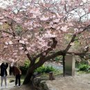 창건목장 이미지